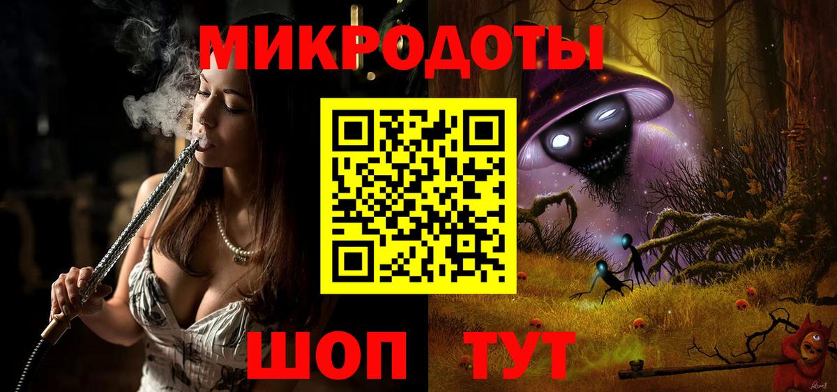 Сунжа  Галлюциногенные грибы Psilocybe  Вход с VPN 