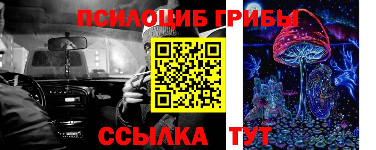 Галлюциногенные грибы Psilocybe Сунжа